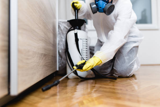 Best Commercial Pest Control Services  in Indian Hills, TX